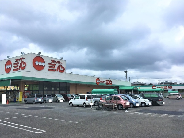 グランドメゾン尾西三条　スーパー三心三条店（スーパー）／401m　